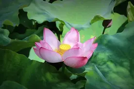 与人交往时，不管你多善良，最好别做以下几件事图片