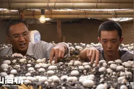 《山海情》：得宝第一次卖菇回来，"黄轩"的这一细节太赞了图片