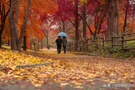 最好的学习方法，是模仿！这5大风光摄影技巧帮你拍出风光大片图片