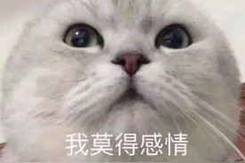 抖音新号快速吸粉模板，一个月粉丝过万图片