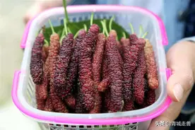 开春后，这5种水果别忘记吃，营养高又美味，关键还不贵图片