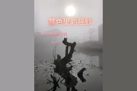 暮色里的摇蚊图片