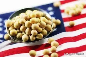 大豆要高产，苗期这样干图片