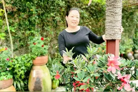 45岁阿姨：让我做有偿保姆也行，但要答应我3个条件，不然不干图片