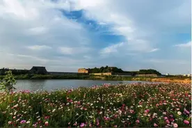林长制|深化林长制改革 保障高质量发展图片