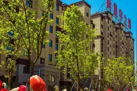新星宇房地产冲击IPO：规模小、现金流为负，卢昕持股约75%图片