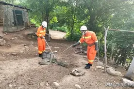 云南39斤巨蟒偷吃6只鸭子，吃饱后的蟒蛇能打吗？牢底坐穿不建议图片