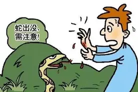 家中惊现2米多长眼镜王蛇！这份攻略一定要看图片
