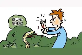 家中惊现2米多长眼镜王蛇！这份攻略一定要看图片