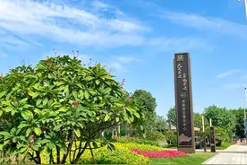四年没卖一套房，这家过江龙又开了一个展厅图片