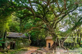 赣州兴国县东韶古村，春日大山里的客家乡村古朴安静，历史古韵浓图片