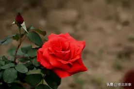29岁的一次相亲，初次见面他浑身泥土，让我误会他是泥水工图片