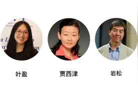 除了税收优惠，还有什么推动着美国个人捐赠的热情？图片