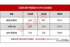 用数据看楼市成交真相！2019年衡阳这些纯新盘，到底去化了几成？图片