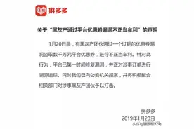 拼多多称系统BUG被“薅羊毛” 用户订单遭强制取消质疑平台欺诈图片