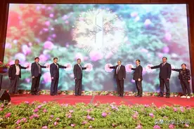 直击现场丨平阴玫瑰文化节今天开幕 记者带你探秘玫瑰之都图片