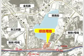 湖景房带地铁，大华公园天下一期评测图片