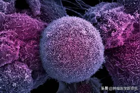 赴日医疗成热潮，日本细胞免疫疗法能防止癌症复发转移？图片