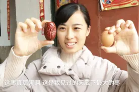天底下最大的枣有多大？农村静静开箱狗头枣，1个枣堪比鸡蛋大！视频封面