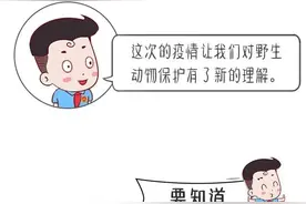 【漫画】生物安全离我们有多远？图片