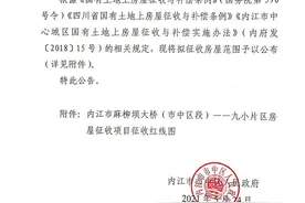 速看！内江麻柳坝大桥修建拟征地，涉及城区这些区域——图片