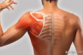 健康、稳定的肩膀，5种训练让你运动功能大大改善图片