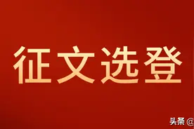 张宝艳：帮助寻亲人实现团圆梦图片