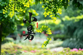 节气｜小暑，草木欣荣暑正盛图片
