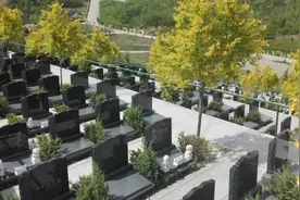 上周扫墓，吓了一跳……图片