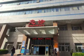 伤7人，奥森咬人流浪犬已被捕获图片