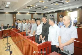 全国最大走私蟒蛇皮案“数额达5.56亿、蟒蛇皮61790张” 二审宣判，涉案公司被罚5640万老板被判13年图片