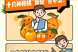 十几种柑橘傻傻分不清？一张图让你看得清楚吃得明白图片