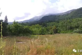 黑色山下有古城—黑山旅游见闻（1）图片