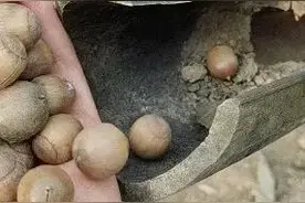 一网友因偷走小松鼠藏起来的过冬栗子被怒喷，第二天无奈还了回去图片