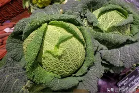 盘点16种欧洲菜市场的奇怪蔬菜，你吃过几个？图片