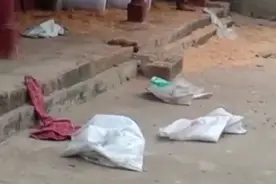 18只亚洲象“组团”进村觅食 当地已为村民上保险 受损可获赔图片