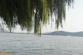 体彩排列三第2020180期综合推荐胆码289图片