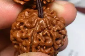 夏至已至，你的串还好么？图片