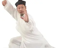 武当太极28势第六势：提手上势，该动作中有腿法、贴身法和摔法图片
