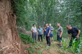山西高平再现尸骨层，长平之战中，白起坑杀赵卒真有40万之巨吗？图片