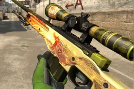 CSGO又一土豪玩家被封！不是开挂，库存价值近50万，只因为刷经验图片
