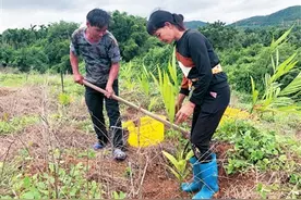 崖州区建档立卡户张志专：种槟榔苦瓜致富，勤劳打通脱贫最后“三公里”图片