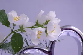 娶个漂亮老婆是一种福气，关键就看你爱的方式是否正确图片