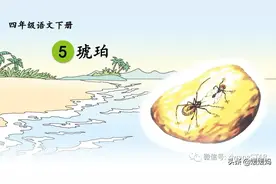 部编版四年级下册语文《5.琥珀》学习课件图片