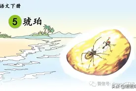 部编版四年级下册语文《5.琥珀》学习课件图片