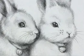 素描出来的小动物图片