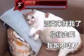 LOL那些拥有独特机制的英雄图片