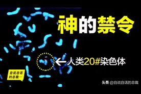 神的禁令，写在人类20号染色体上，神究竟禁止人类做什么？图片