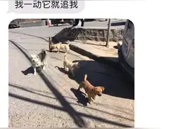 女生深夜点外卖被小哥戏弄？聊天记录曝光，这操作真的6哈哈哈哈图片