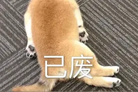 大家小时候，因为哪些原因被父母打？——哈哈哈已笑废图片